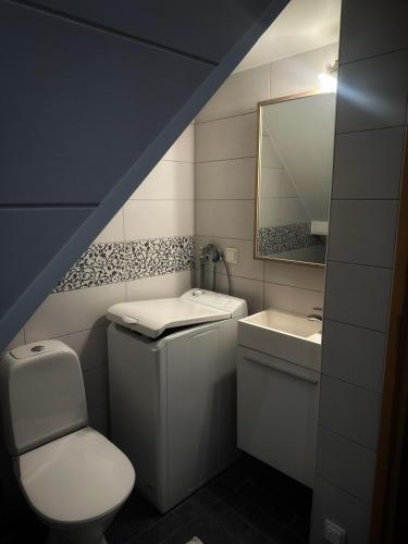 a bathroom with a toilet and a sink and a mirror at Janno apartment in Pärnu