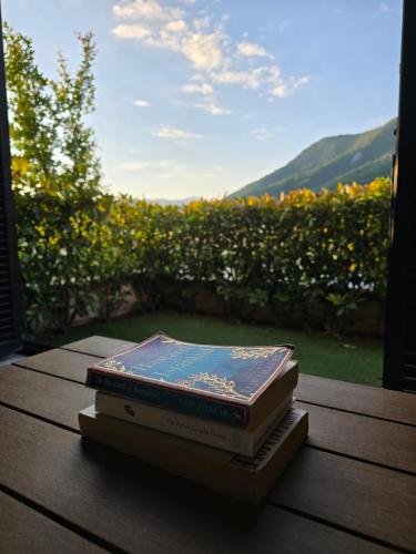 three books sitting on a table in front of a window at The Seaside Gem in Donji Morinj
