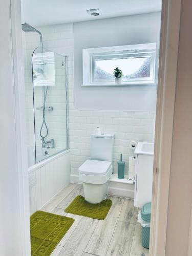 a bathroom with a toilet and a shower and a sink at Dover Ferry Apartments, private terrace and on-site parking in Dover