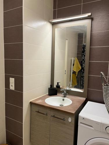 une salle de bain avec un lavabo et un miroir dans l'établissement Studio Spacieux à Montpellier - Terrasse & Netflix, à Montpellier
