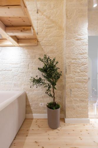 Fotografie z fotogalerie ubytování Elpis Guest House v destinaci Himare