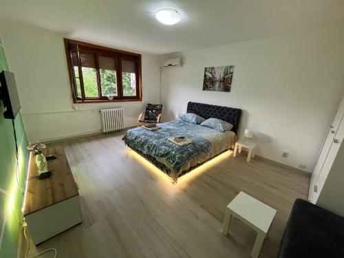 a bedroom with a bed and a table in it at Fontana view in Belgrade
