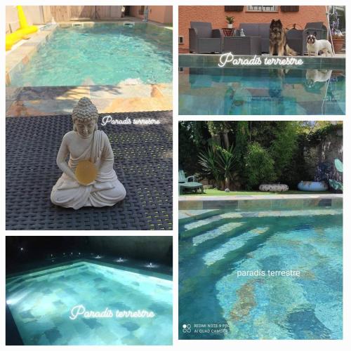 Paradis terrestre sud de la France, avec sa piscine bali privée, clim, jardin, animaux admis,5 mn autoroute