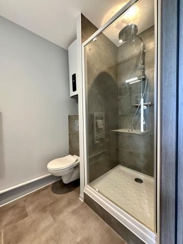 une salle de bain avec douche et toilettes dans l'établissement Studio 63 Rénové et Équipé - Nancy Brabois proche CHRU,CESI,FAC, à Vandœuvre-lès-Nancy