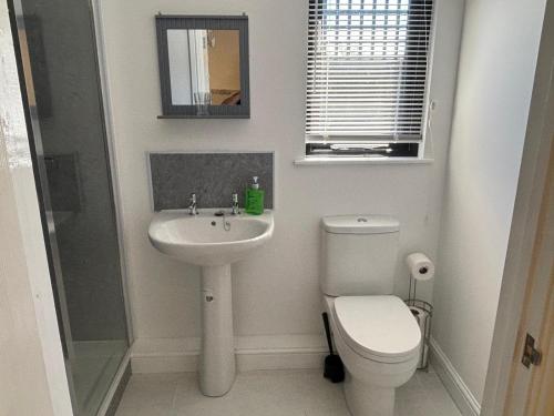 a white bathroom with a toilet and a sink at Hawthorne Barn in Lingwood