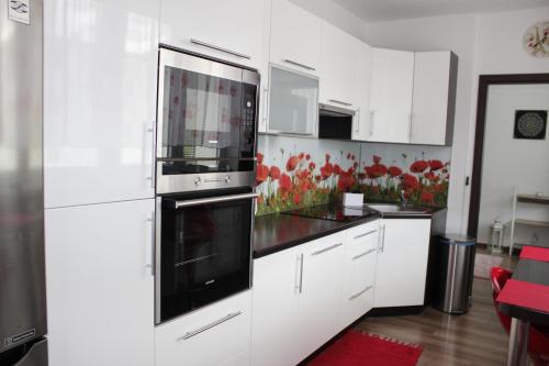Kuchyň nebo kuchyňský kout v ubytování Apartmán MAK