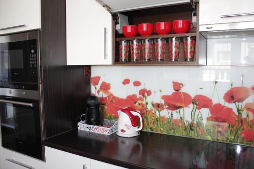 Kuchyň nebo kuchyňský kout v ubytování Apartmán MAK