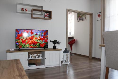TV a/nebo společenská místnost v ubytování Apartmán MAK