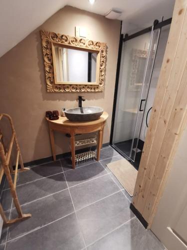 a bathroom with a sink and a shower at Le bonheur est dans le pré in Feusines
