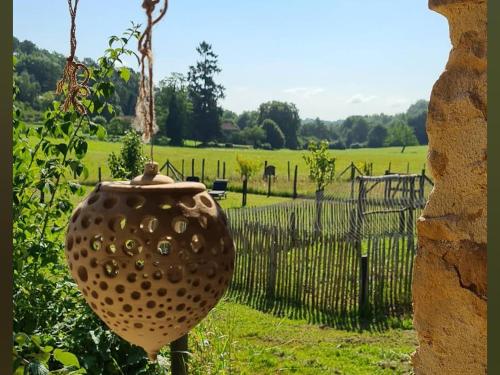 un vase posé dans un champ avec une clôture dans l'établissement L' Ecurie, à Lavaur