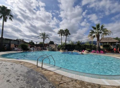 une grande piscine avec des palmiers dans un complexe hôtelier dans l'établissement Bungalow pour 4 Au front de mer, à Argelès-sur-Mer