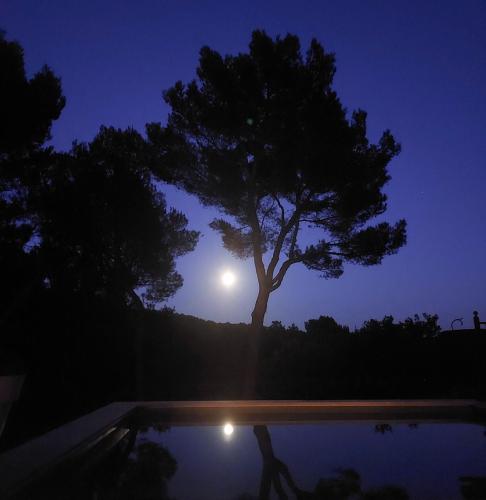 Gambar di galeri bagi La maison du Barroux avec vue, calme et piscine di Le Barroux