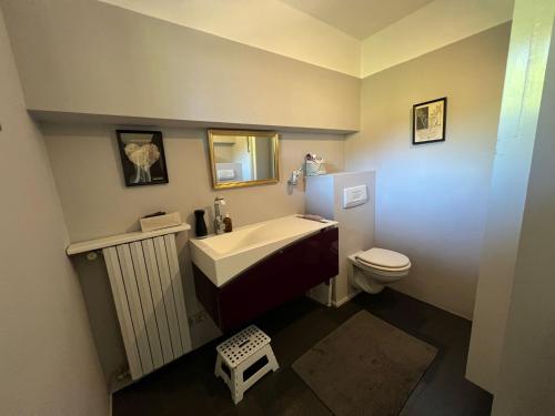 a bathroom with a sink and a toilet at Raggio di Sole Villa in Oggebbio