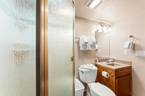 a bathroom with a toilet and a sink and a shower at Rockridge 51 by Summit County Mountain Retreats in Breckenridge