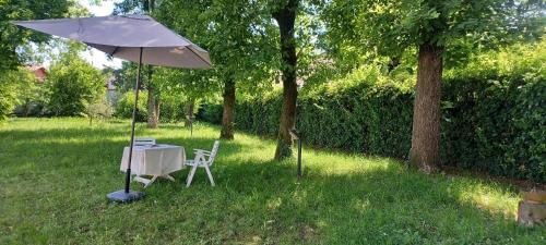 a table and chairs under an umbrella in the grass at Villa Gildanna2 in Orio Litta