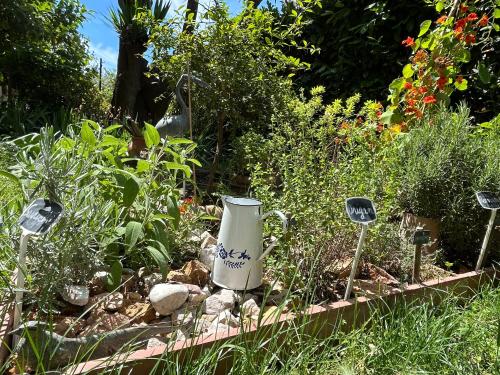 Photo de la galerie de l'établissement studio à la mer dans un Mas provençal, à Cannes