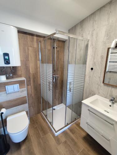 a bathroom with a shower and a toilet and a sink at Przystań Kormoran in Czarna Wieś