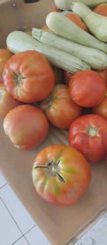 un tas de tomates et d'autres légumes sur une planche à découper dans l'établissement Villa en pierre de taille, à La Celle-sous-Gouzon