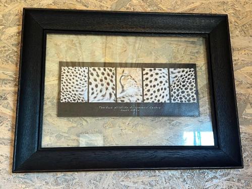 a framed picture of a cheetah print on a wall at Tenikwa Wildlife Centre & Spa in Plettenberg Bay