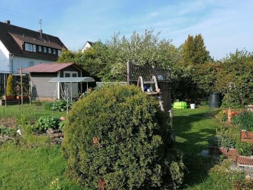 Κήπος έξω από το Ferienwohnung Kirsch-kern