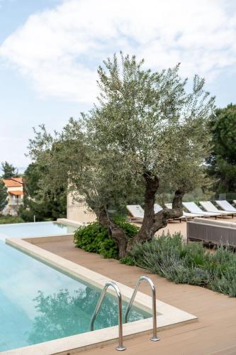 Πισίνα στο ή κοντά στο Villa Mare Halkidiki