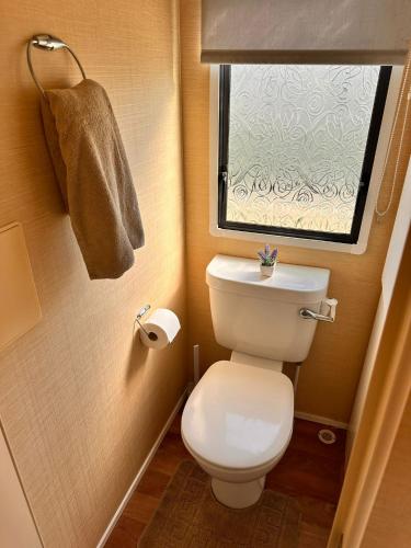 a small bathroom with a toilet and a window at Browns caravan rentals, 8 berth, the chase, ingoldmells in Skegness