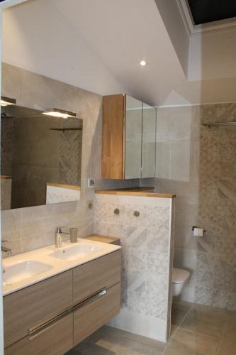 une salle de bain avec un lavabo et des toilettes dans l'établissement Maison proche plages, au calme, piscine et parking, à Anglet