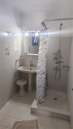 a bathroom with a shower with a sink and a toilet at Smaragda Hotel in Marathokampos