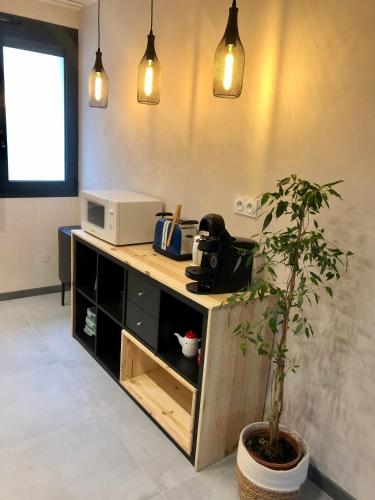 a room with a counter with a microwave and a plant at Le Petit Cathare, Nid rénové au cœur de Quillan in Quillan