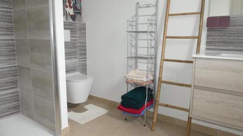 un bagno con wc e portasciugamani di St Quay Portrieux Appartement avec piscine chauffée a Saint-Quay-Portrieux