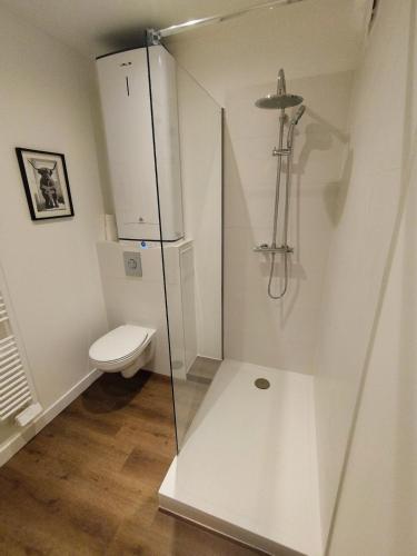une salle de bain avec toilettes et douche en verre dans l'établissement T1 de standing sur le port, à Étel
