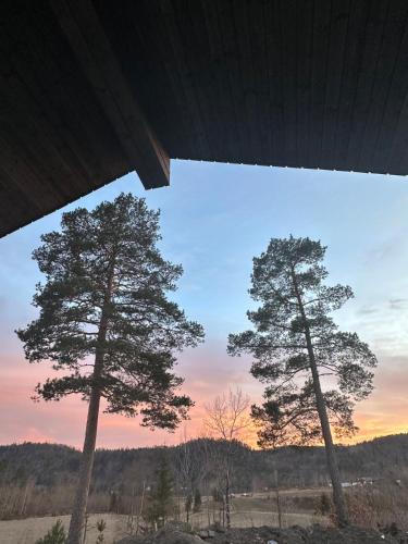 two trees in a field with a sunset in the background at Melø Panorama design home with magical views in Larvik