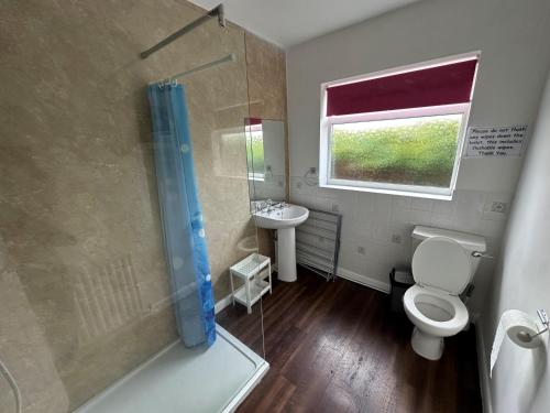a bathroom with a shower and a toilet and a sink at Dainville Lodge in Skegness