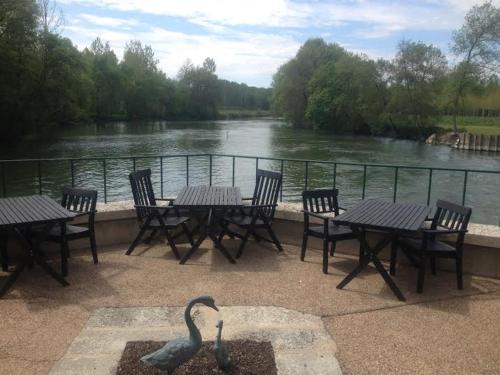 a statue of a swan on a patio next to a river at Moulin de la Chevriere in Saché
