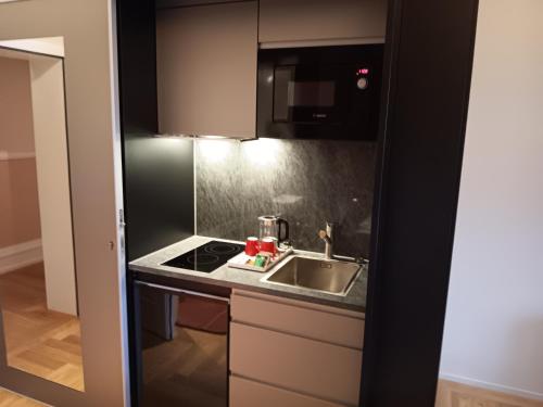 a small kitchen with a sink and a stove at Boutique Hotel Bellevue in Interlaken