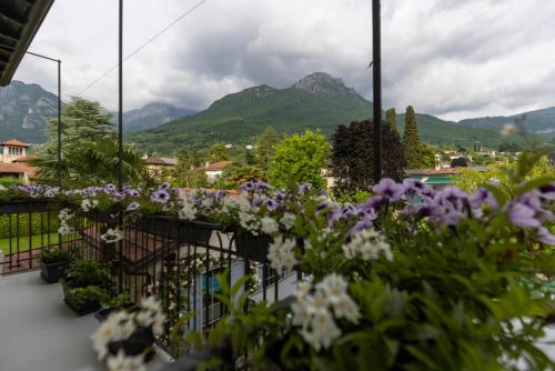 a balcony with purple and white flowers and mountains at Maji Como Lake in Mandello del Lario