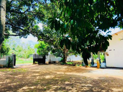 Κήπος έξω από το Regnum Villa Anuradhapura