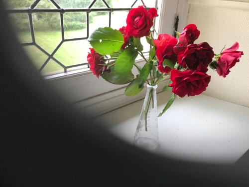 un vase de roses rouges posé sur le rebord d'une fenêtre dans l'établissement les portes de Chenonceaux, à La Celle-sous-Gouzon
