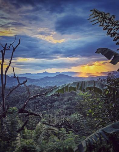 a view of a bridge in the jungle at sunset at Eagle View villa in Ella