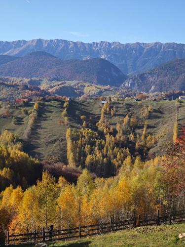 an autumn field with trees and mountains in the background at Alpine Escape Studios in Măgura