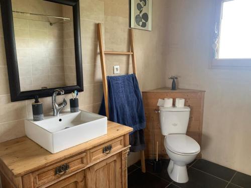 une salle de bain avec un lavabo, des toilettes et un miroir dans l'établissement Jolie maison en bois avec piscine, à Saint-Césaire-de-Gauzignan