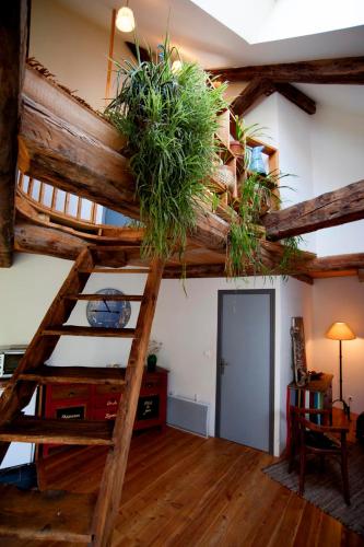 a room with a loft bed with potted plants on it at Le Gite de la Passerelle à Crévoux in Crévoux