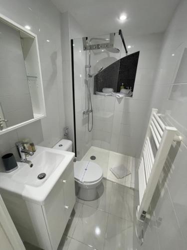 une salle de bain blanche avec des toilettes et un lavabo dans l'établissement Old town room 100m from beach, à Menton