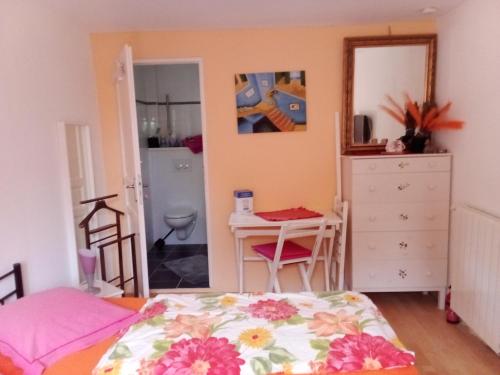 une chambre avec un lit, un bureau et un miroir dans l'établissement Petit Studio, à Lorgues