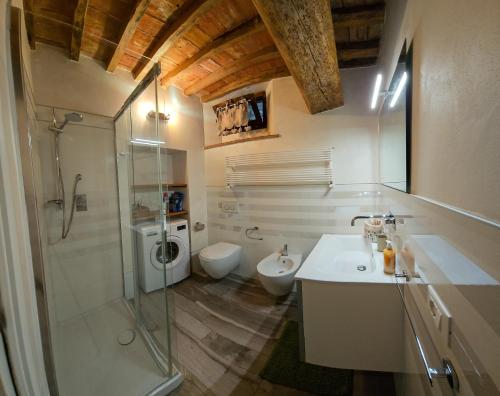 a bathroom with a shower and a sink and a toilet at Casa Paola nel Chianti in Castelnuovo Berardenga
