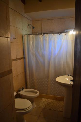 a bathroom with a toilet and a shower and a sink at Cabañas de los cisnes in Chascomús