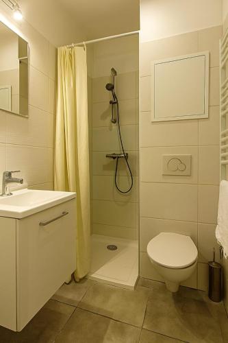 une salle de bain avec une douche, des toilettes et un lavabo dans l'établissement Fontanières Charming studio on the edge of Lyon, à La Mulatière