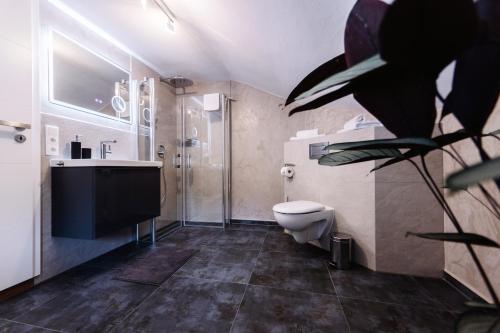 łazienka z toaletą, prysznicem i umywalką w obiekcie Haus Johannishof w mieście Mittenwald