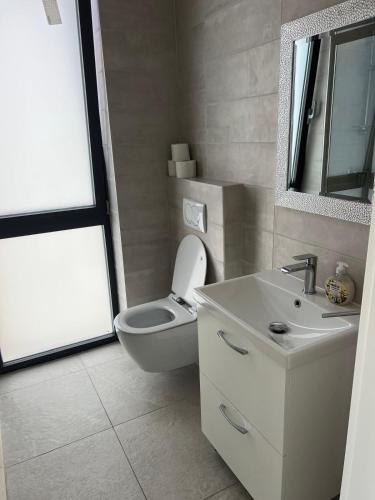 a bathroom with a toilet and a sink and a mirror at Villa royale with shared pool in Hvar
