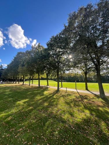 a group of trees in a park with a grass field at Stylish downtown loft and opposite park in Maldegem